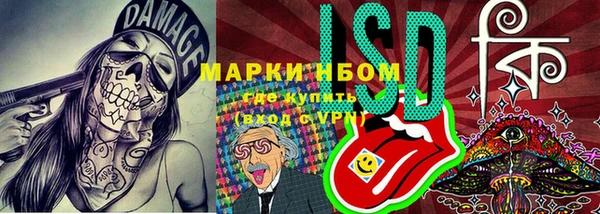 мдпв Ладушкин
