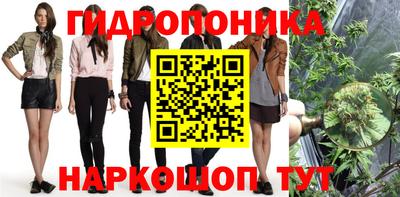 прущий лед Кингисепп
