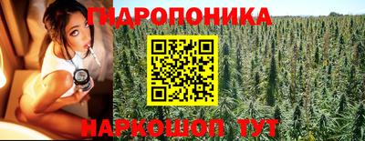 Альфа ПВП Кимры