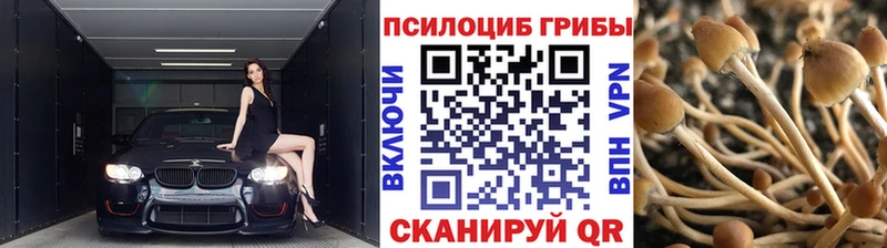 Псилоцибиновые грибы мухоморы  shop состав  Нефтеюганск 