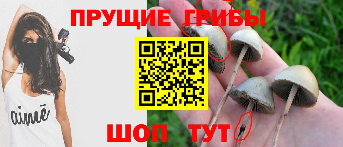 Галлюциногенные грибы Psilocybe  Вход с VPN  что такое   Нефтеюганск 