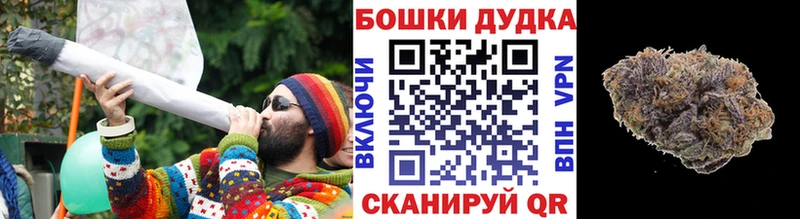 Шишки марихуана сатива  Нефтеюганск 